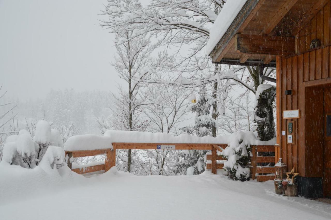 Hilltop Appartement Lofer Exterior photo